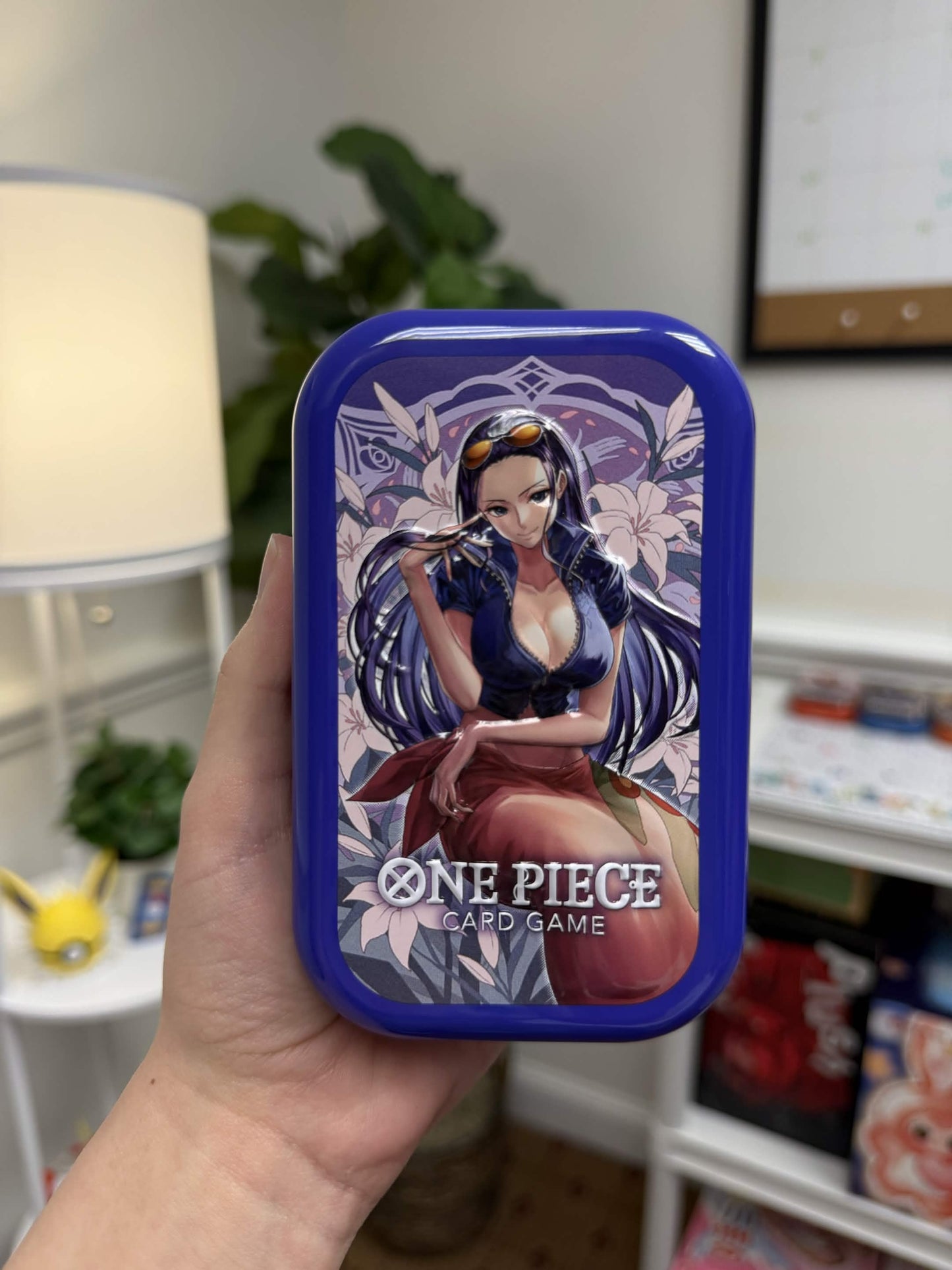 One Piece Tin (Female Variations) with One Piece Assorted BULK