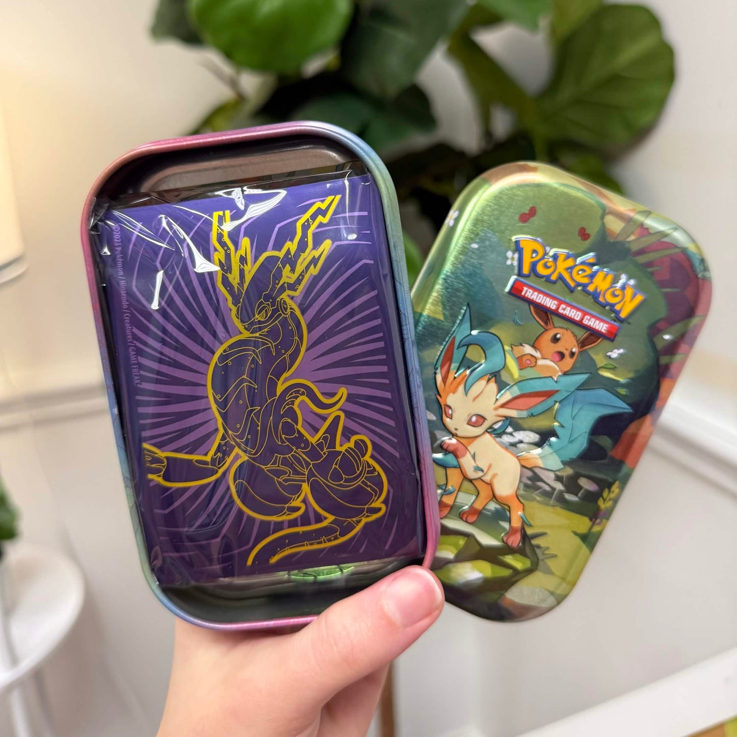 Pokémon Mystery Mini Tin (Authentic TCG Accessories)