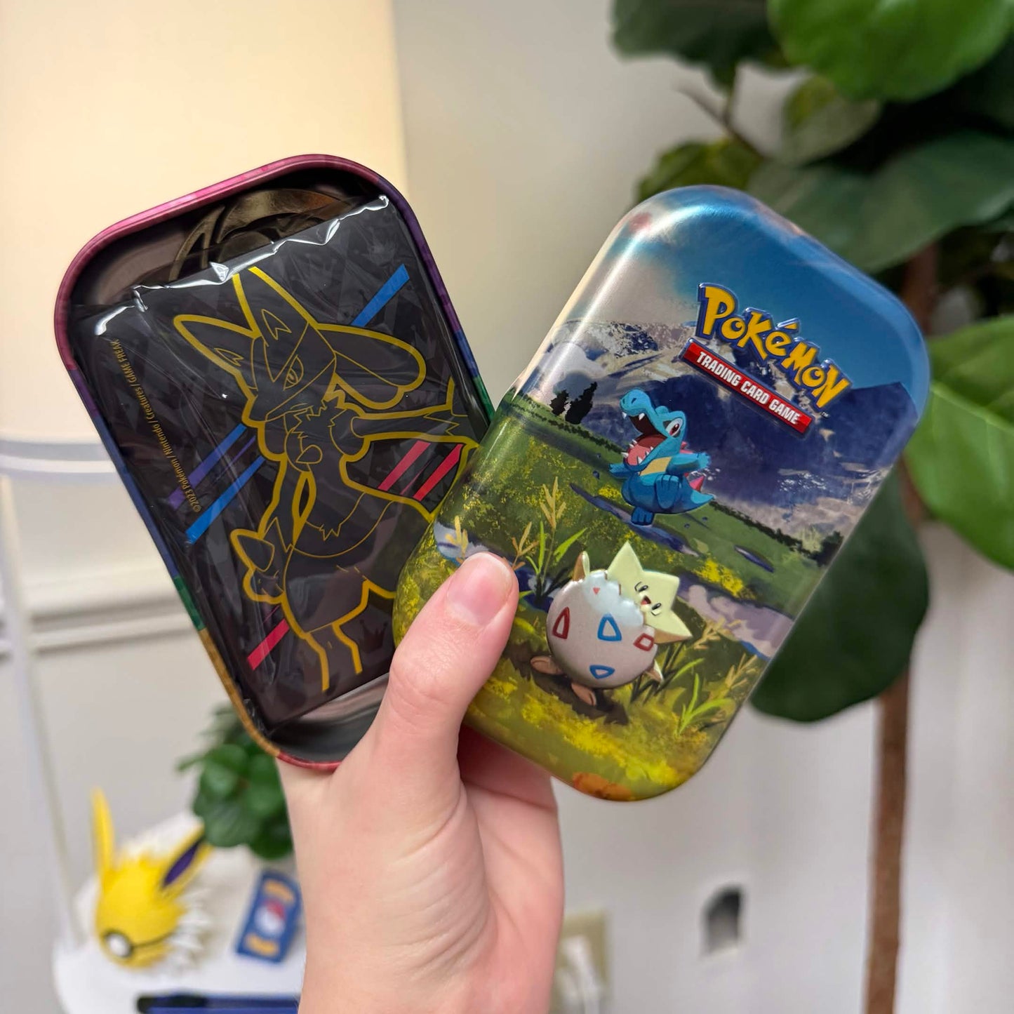 Pokémon Mystery Mini Tin (Authentic TCG Accessories)