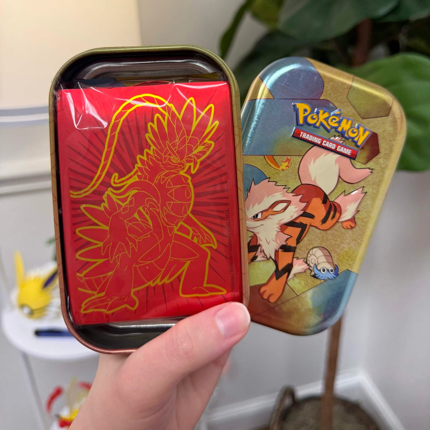 Pokémon Mystery Mini Tin (Authentic TCG Accessories)