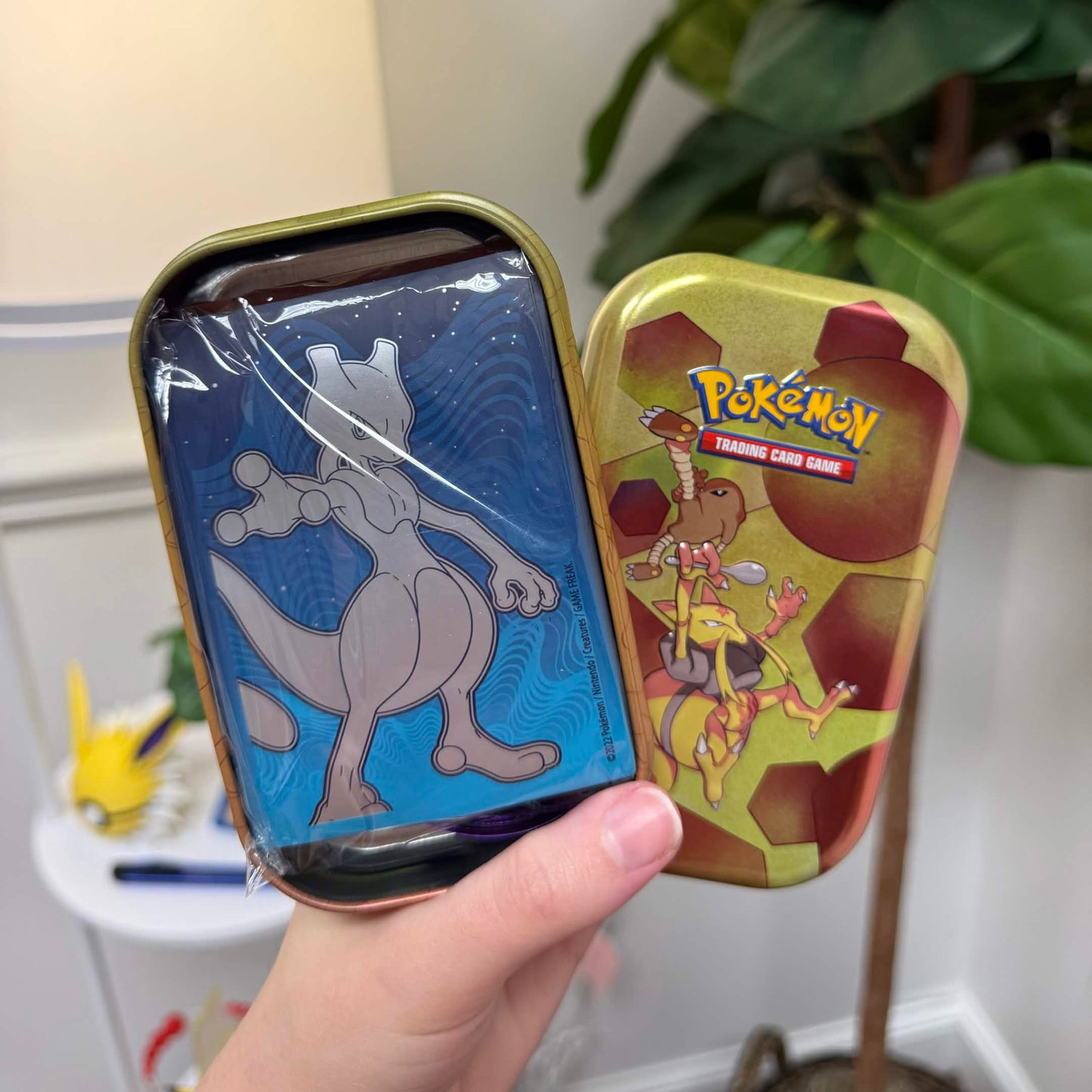 Pokémon Mystery Mini Tin (Authentic TCG Accessories)